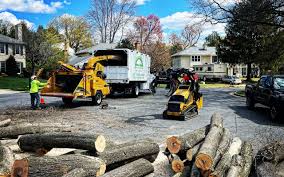 Best Tree Maintenance Programs  in Titusville, FL